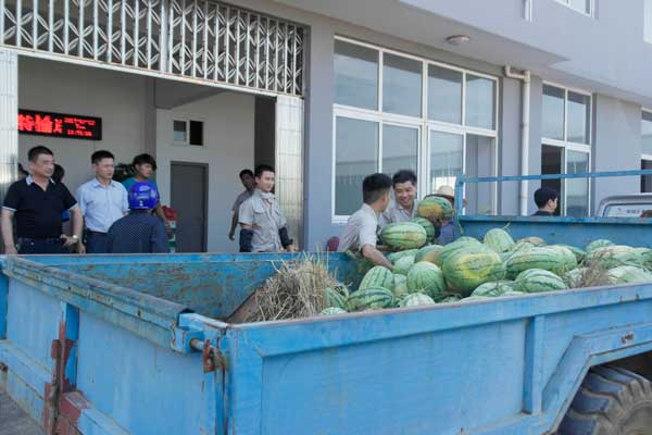 宿迁政府送清凉正在搬运西瓜